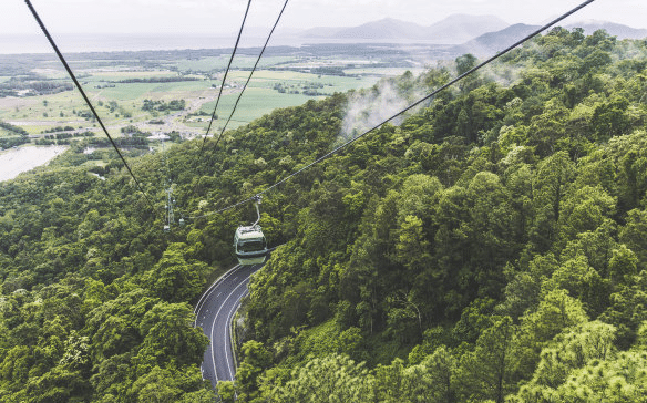 Experience the Best of Cairns in Three Days