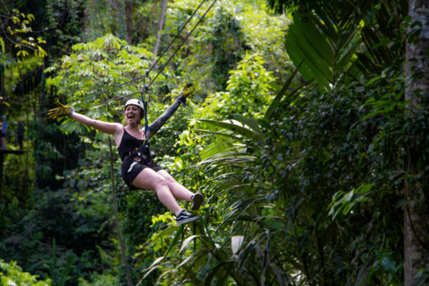 Discover the Enchanting Rainforests of Costa Rica