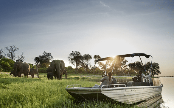 Unforgettable African Adventure: 10 Days, Three Lodges, and Nature's Wonders
