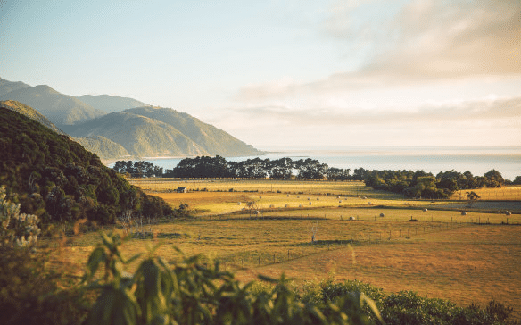 Regenerative Travel Experiences in New Zealand: Making a Positive Impact on the Land