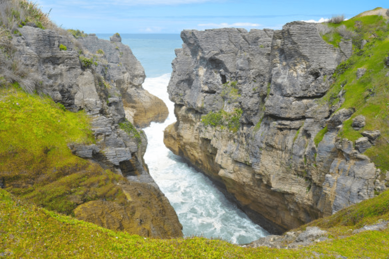 Discover the Untouched Beauty of New Zealand's Wild West Coast