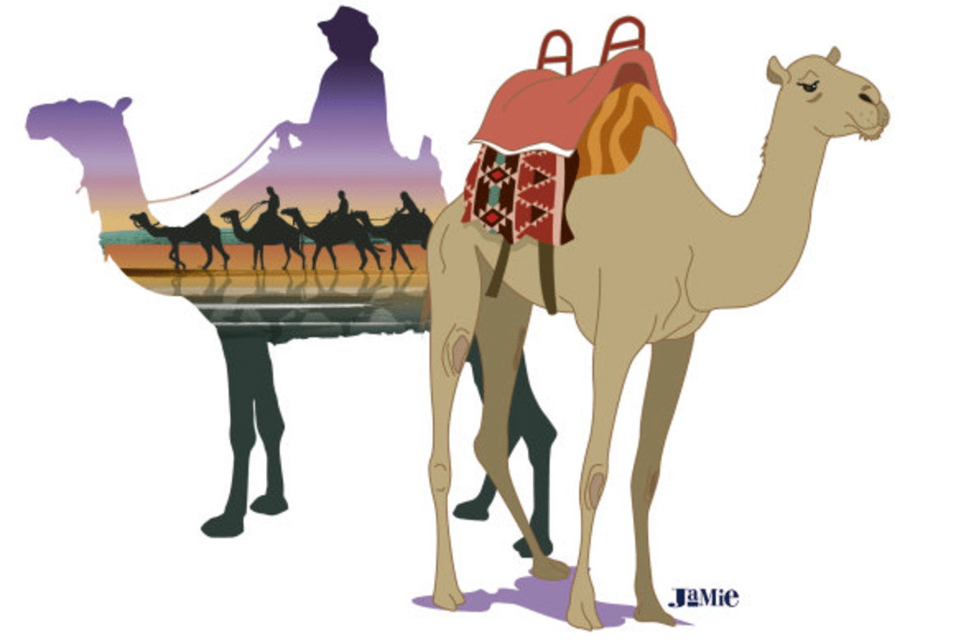 How to Master the Art of Camel Riding