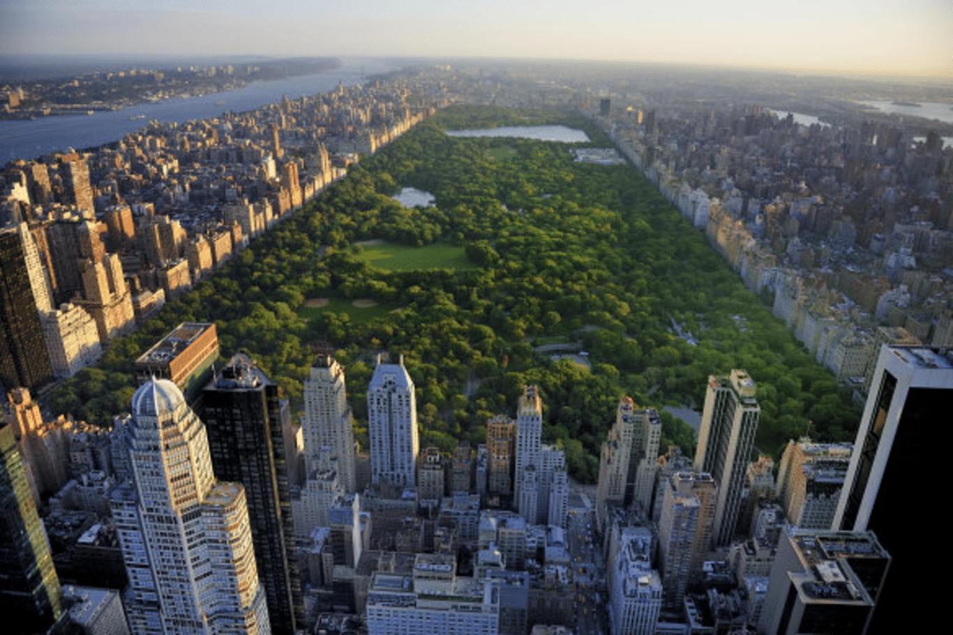 Explore Central Park: New York's Urban Oasis