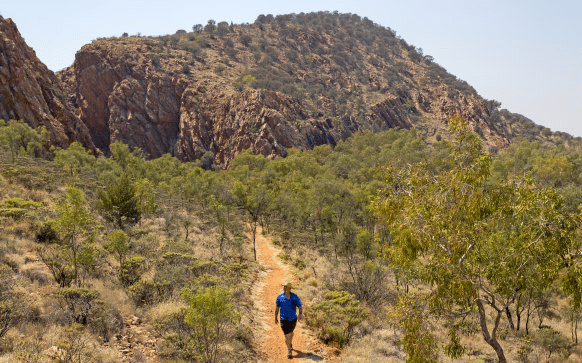 Uncovering the Hidden Beauty of the Australian Outback in Alice Springs